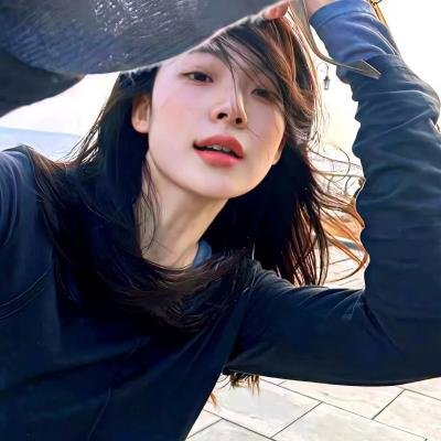 与鲨共游