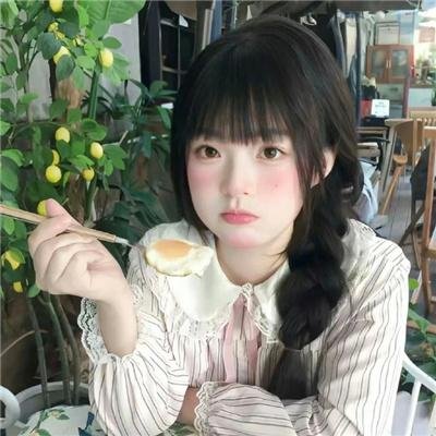 飞蛾日记